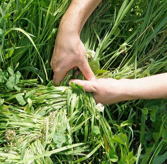 Embodying Intention In The Physical World
