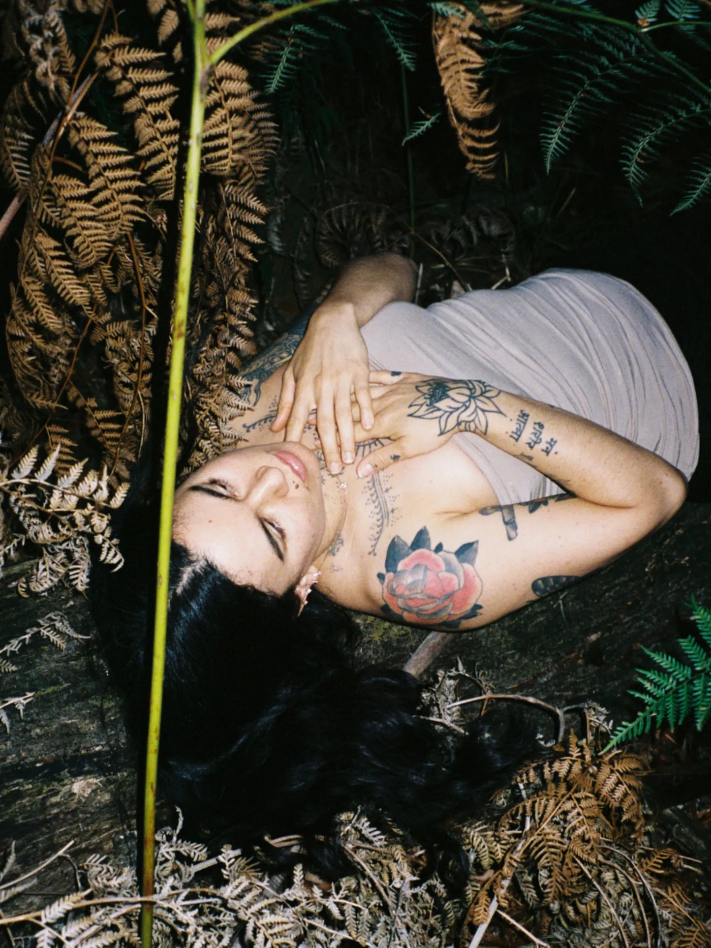 Forest Bathing Natural Incense