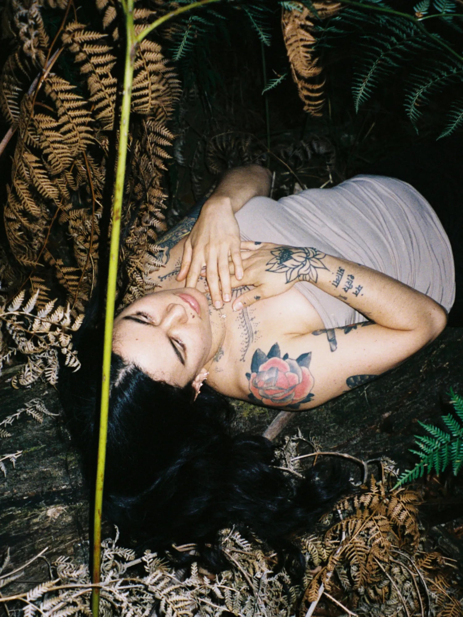 Person lying among brown and green ferns in a forest